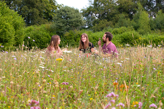 Group sitting in wildflower meadow