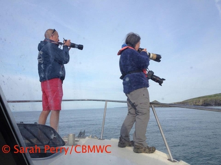 CBMWC surveyors photographing dolphins 