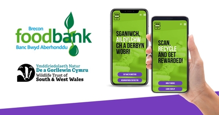 A graphic with white background showing with Brecon Foodbank and The Wildlife Trust of South & West Wales' logo. On the right there a person holding phone showing a green screen the scan, recycle, reward app.