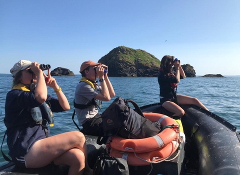 3 of the Skomer team counting seabirds with binoculars from our boat.