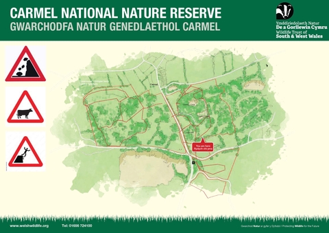 Carmel National Nature Reserve