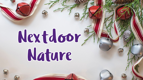 Nextdoor Nature Christmas