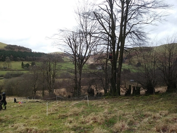 Trees at Vicarage Meadows Nature Reserve