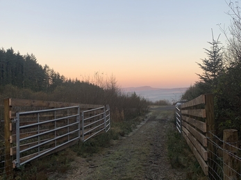 Llyn Fach