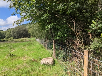 Fencing at Rhos Fullbrook Nature Reserve