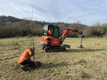 Tree Planting at Teifi Marshes