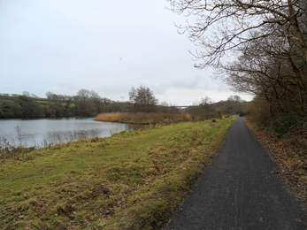 A straight path through Westfield Pill Reserve. 