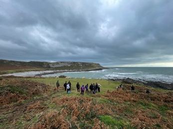 Visitors watching ponies grazing on Gower coastline. 