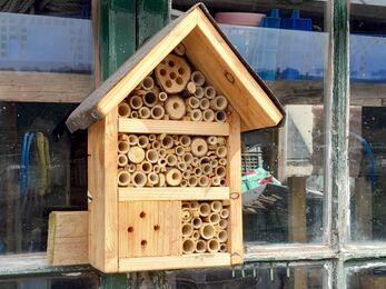 Bug hotel for solitary bees and other insects