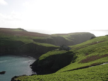 A island coastline. The land is covered with vibrant green vegetation.