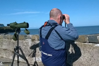 Volunteer sea watch