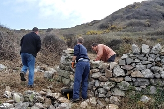 Volunteers repairing a dry stone wall on Gower.
