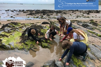 Living Seas Youth Forum exploring the rockpools 