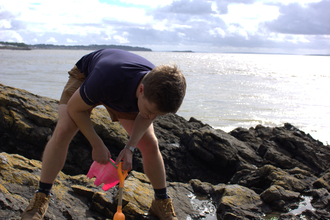 Chris rock pooling