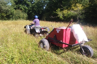 Seed Harvesting