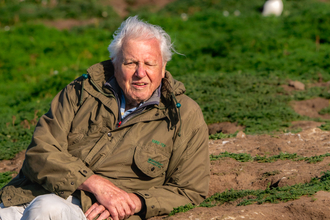 David Attenborough sitting