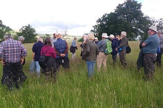 Brecon Local Group members standing meadow listening to Hugh Martineau talk about the meadows at Treperfedd House