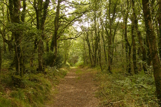 Pengelli Forest Nature Reserve