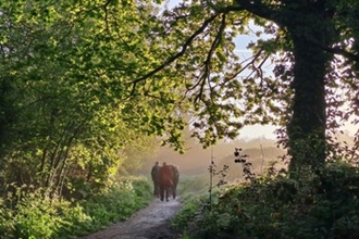 Dawn chorus walk