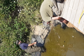 Pond clearing at Teifi Marshes