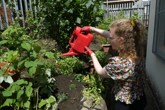 Nextdoor Nature Project