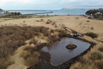 Wildlife Pond at Goodwick Moor Nature Reserve