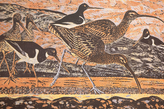 James T.A. Osborne Curlew print