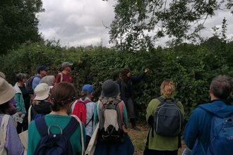 Group of people at a tree ID session. 