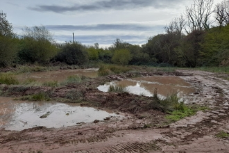 New Ponds at Carmel Nature Reserve
