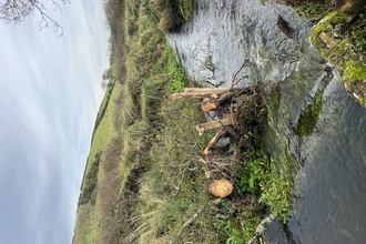 Llangloffan Fen Nature Reserve