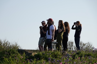 A group of birdwatchers on Skomer looks to the left.