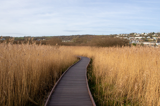 A boardwalk going through a reed bed. There is a town on the hill in the background and a blue sky. 