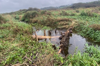 Llangloffan Fen