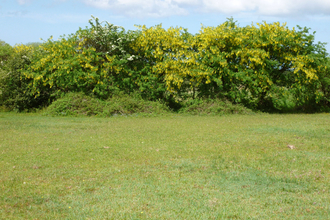 Rhos Marion Nature Reserve