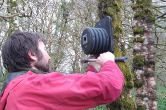 Repurposed drainage pipe bird box