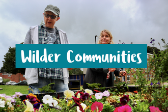 Community members planting flowers outside flats