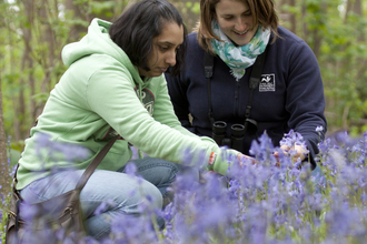 Two women looking at a patch of bluebells