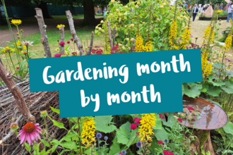 Gardening month by month. Colourful garden in the background