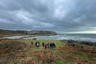 Visitors watching ponies grazing on Gower coastline. 