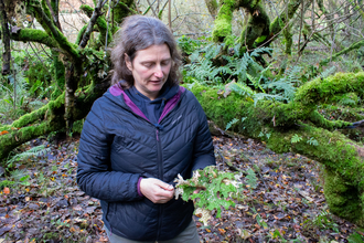Becca looking at lichen at Castle Woods.