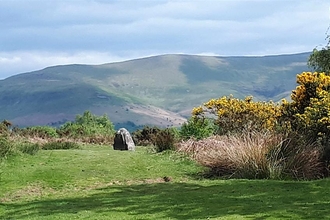 Scene with standing stone with gorse and mountain in the background