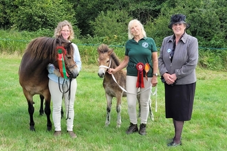 Three people stood next to prize winning pony and foal. 