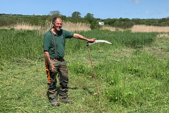 John with a scythe in front of a reedbeds at Teifi Marshes. 