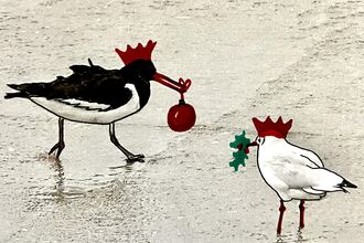 Christmas Party seabirds - both wearing red paper hats.