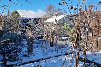A wild garden in the snow with a greenhouse in the background