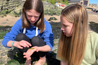 Youth Forum looking at sea lettuce (seaweed) on the seashore 
