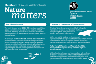 Document with the title 'Nature Matters'