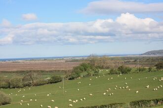 Panorama of Cors Fochno raised mire