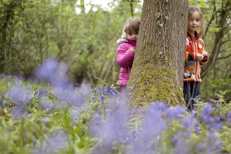 Children stood hiding behind a tree trunk in a colourful woodland