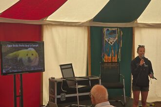 A woman giving a talk in a marquee. She is stood next to a screen with a picture of a seal on it.